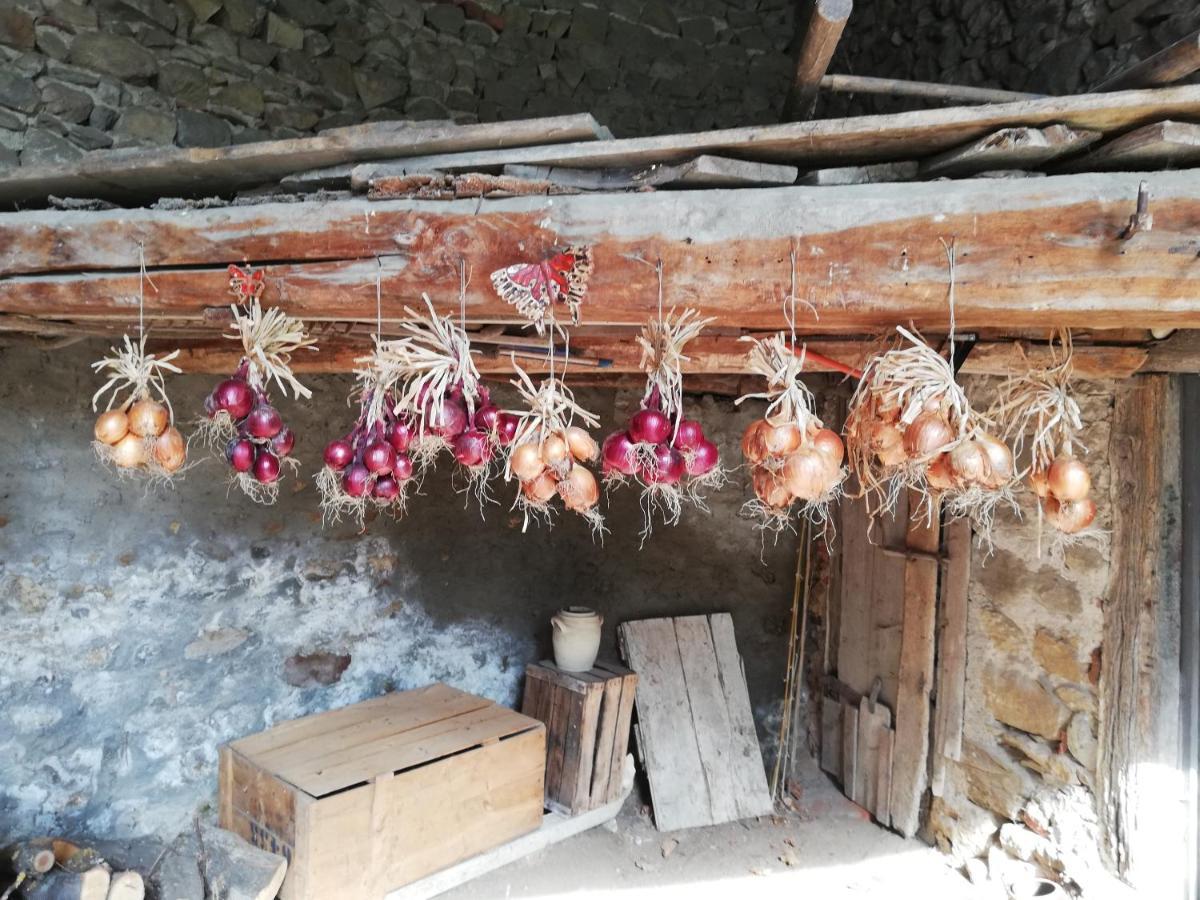 Les Bessonnes Bed & Breakfast Saint-Georges-Haute-Ville Dış mekan fotoğraf